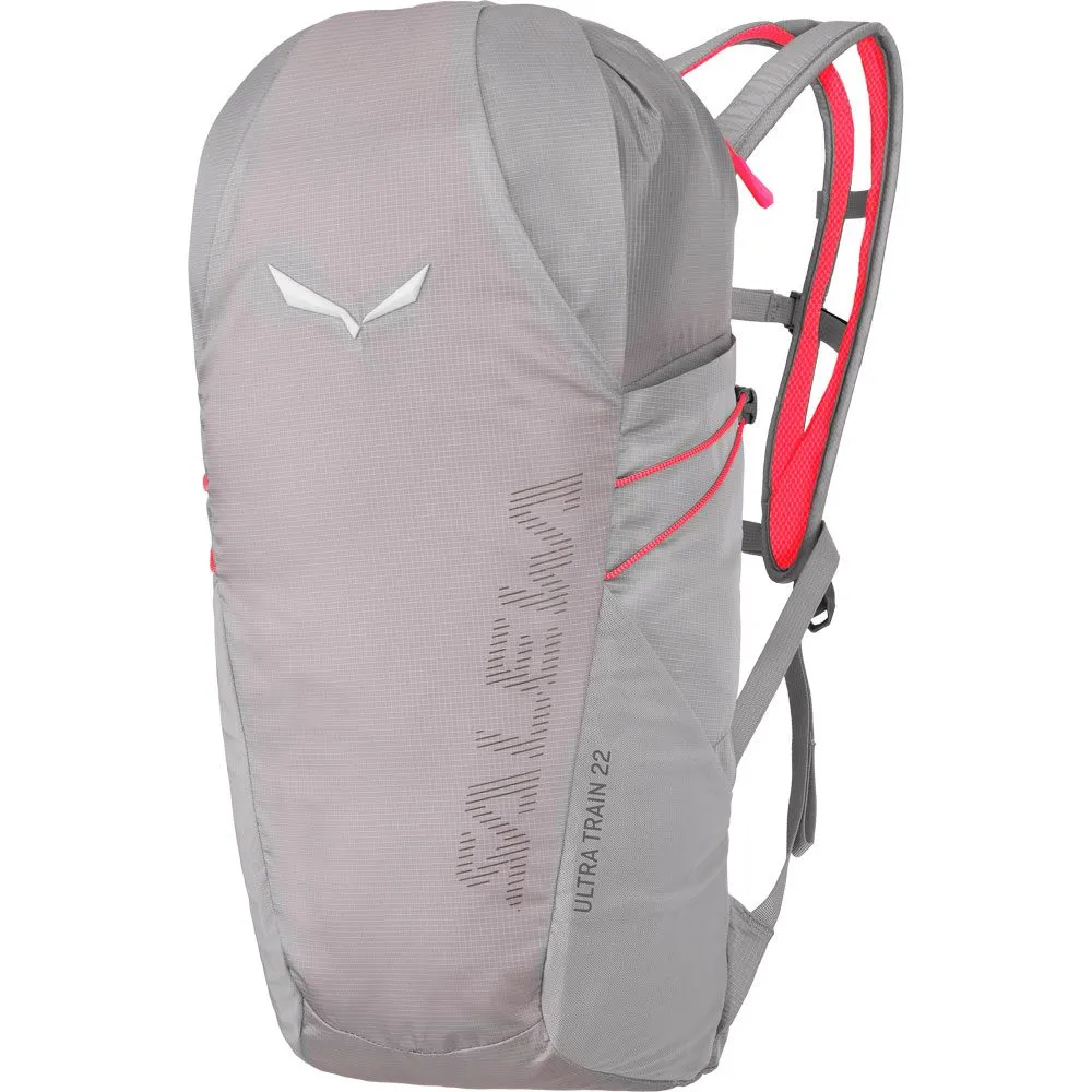SALEWA - Ultra Train 22l BP Backpack alloy